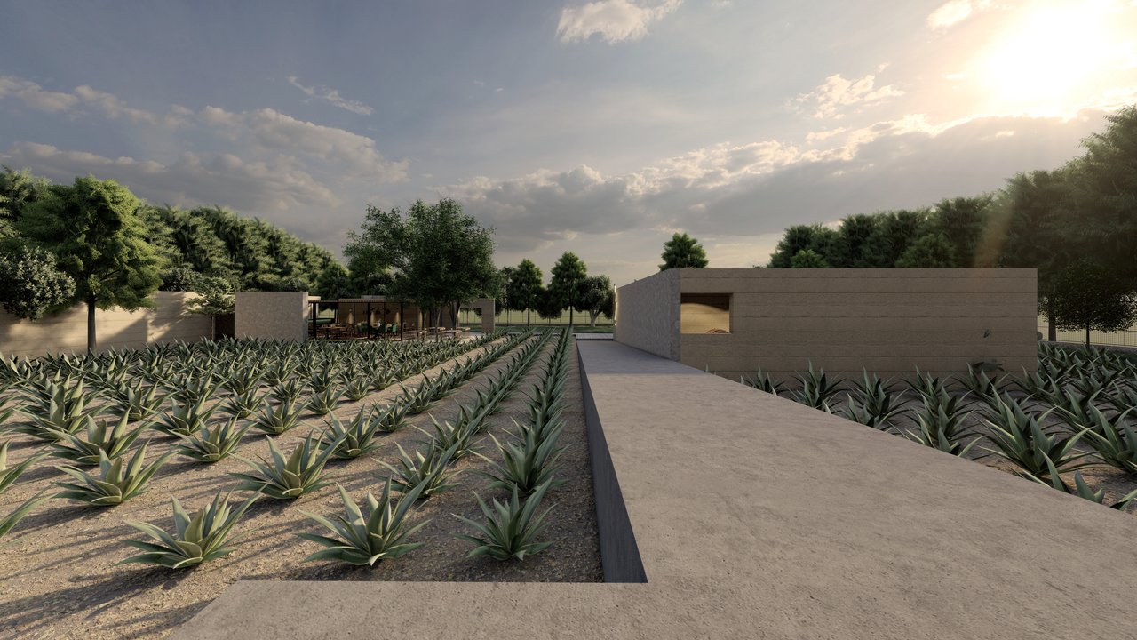 Tequilera Huani - Imagen 11